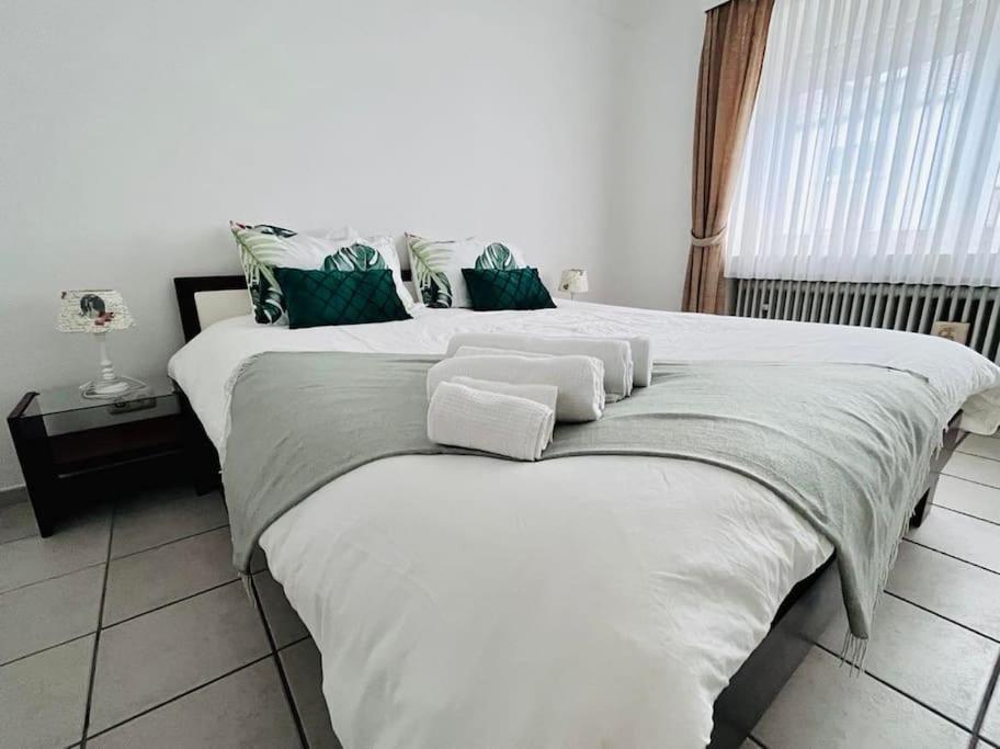 Sanem Appartement Near Belval מראה חיצוני תמונה